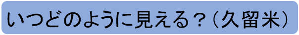 おうちでコスモ